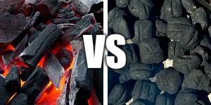 Organic Charcoal vs Briquettes