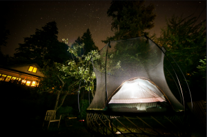 Springfree Trampoline Camping Under the Stars