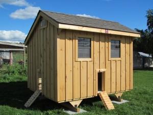 Plymouth Chicken Coop